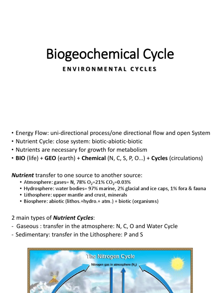 Understanding Biogeochemical Cycles | PDF | Sulfur | Carbon Dioxide