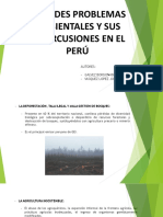 Grandes Problemas Ambientales en El Perú