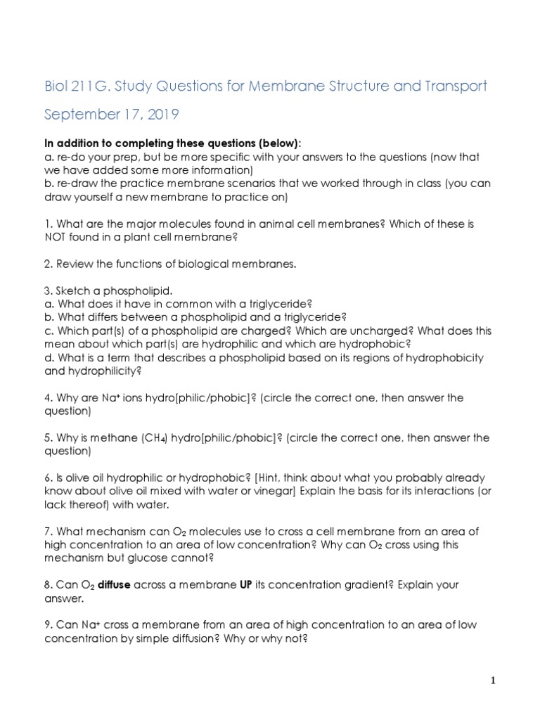 Biol 211G. Study Questions For Membrane Structure and Transport ...