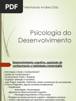 Andrea Desenvolvimento Cognitivo