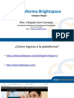 Guía para Uso de Plataforma Brightspace PDF
