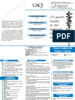 triptico academicas.pdf