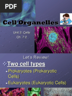 Cell Organelles 11