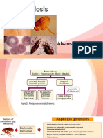 Bartonelosis.pptx