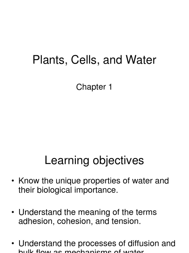 HOPKINS AND HUNER PLANT PHYSIOLOGY PDF intelligence overview