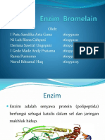 Enzim  Bromelain.pptx