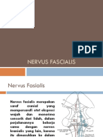 Nervus Fascialis