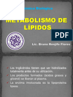 Metabolismo de Lípidos