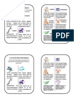 Desastres Naturales Diptico