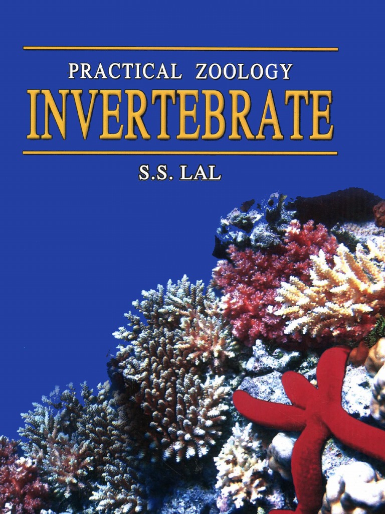 Practical Zoology Invertebrate | PDF | Sponge | Epithelium