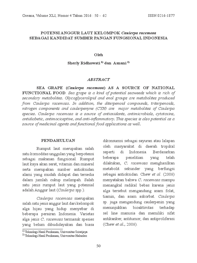 Laut | PDF