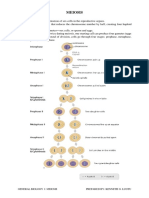 Meiosis PDF