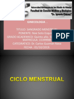 sangrado menstrual 