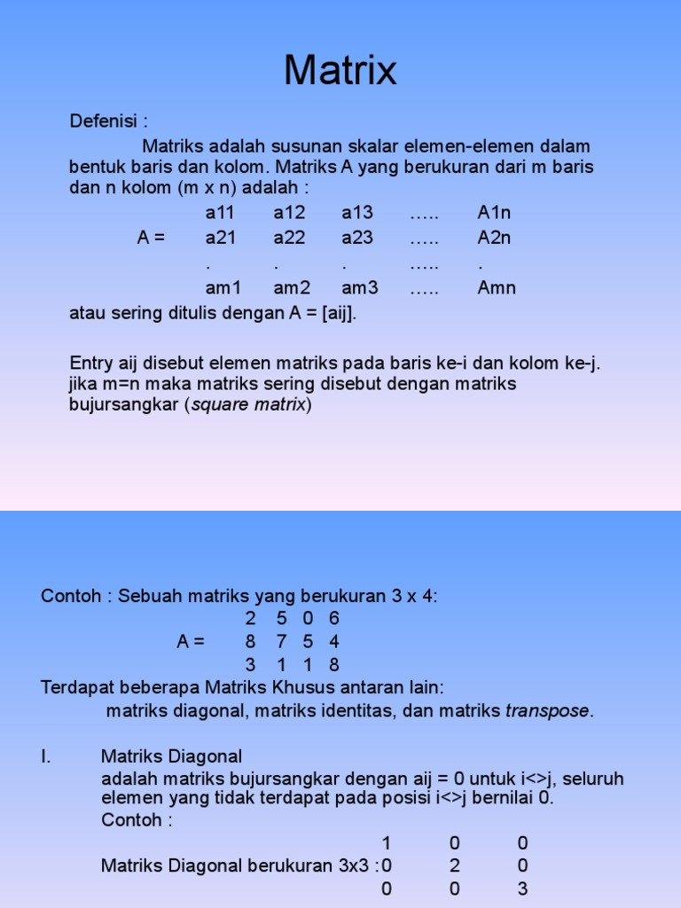 Fungsi Dan Matrix | PDF