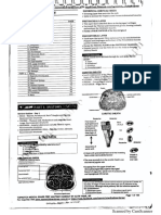 TOPNOTCH Anatomy and Histology Main HO September 2018