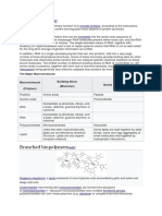 Branched Biopolymers: RNA Encode Proteins Eukaryotes Translated