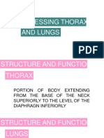 Assessing Thorax and Lungs