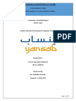 Final Report - Yousef Al Shehabi - 3608515 PDF