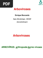 Arboviroses - 22-11-2018 BMM560