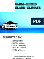 Warm-Humid Island