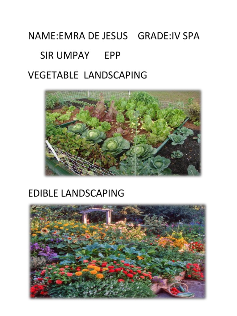 Name:Emra de Jesus Grade:Iv Spa Sir Umpay Epp Vegetable Landscaping | PDF