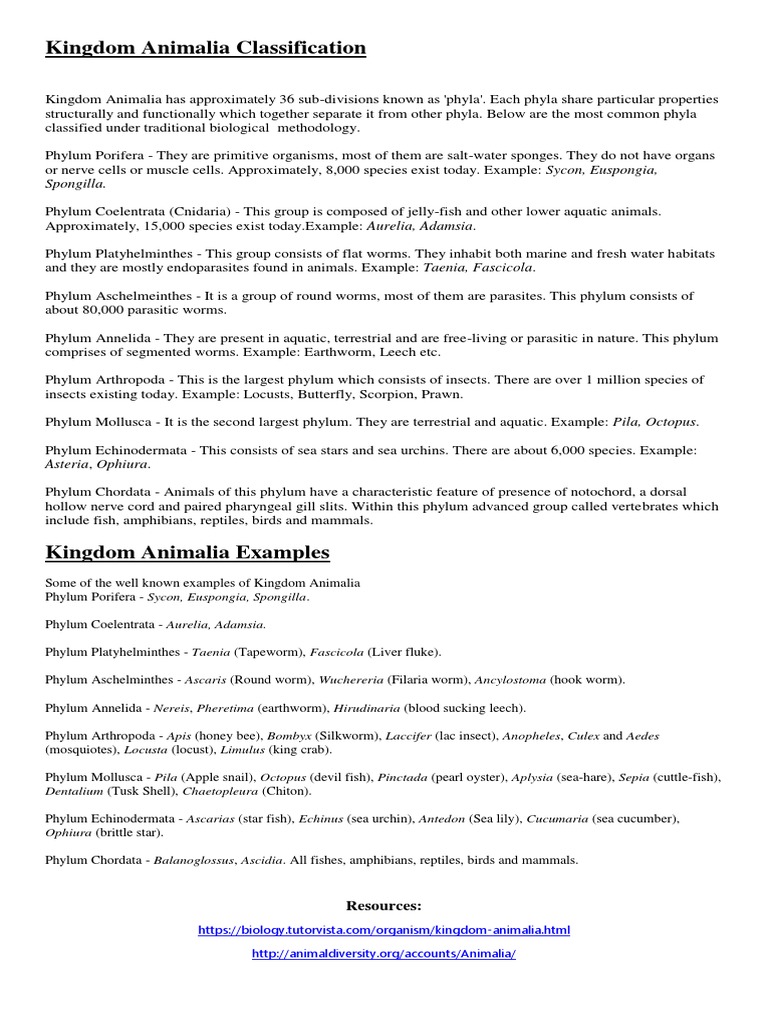 An Overview of the Major Phyla Within the Kingdom Animalia | PDF ...