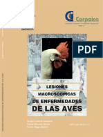 Lesiones Macroscopicas Enfermedades Aves