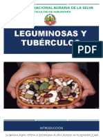 CLASE 3-Leguminosas y Tubérculos