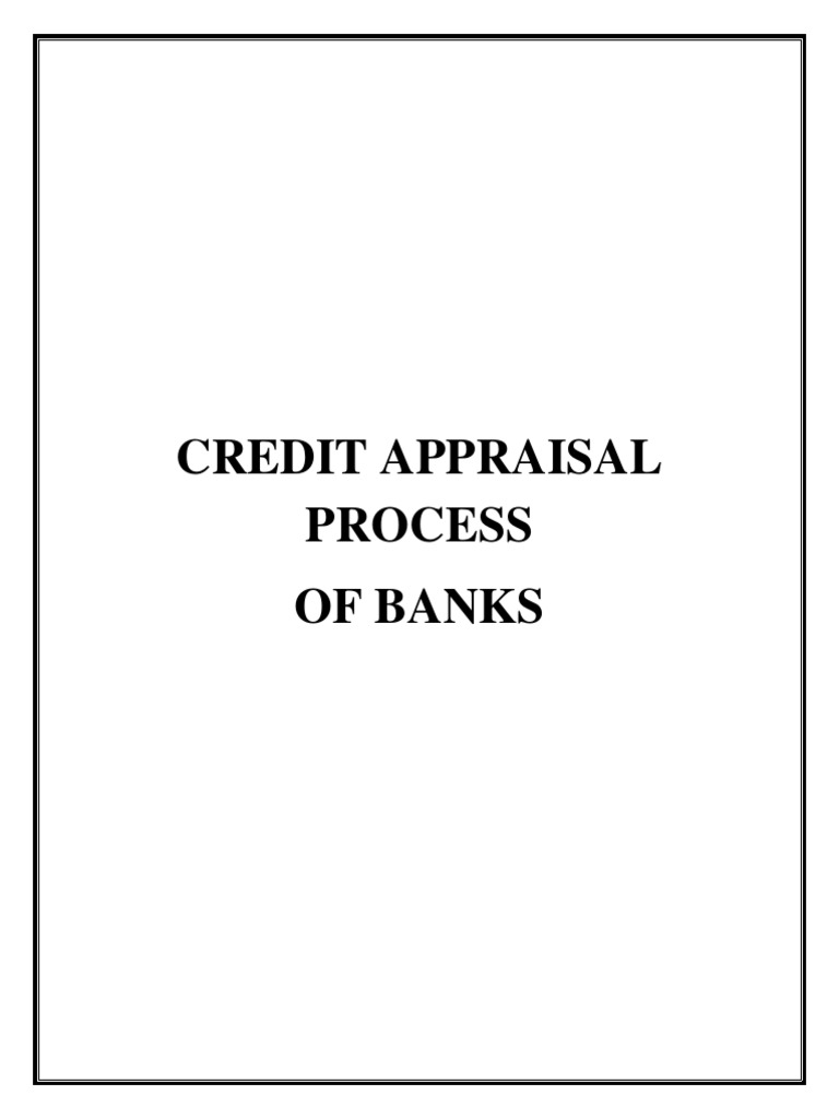 An Analysis of the Credit Appraisal Process at Bank of India PDF