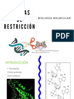 Enzimas de Restricción