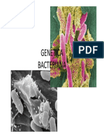 geneticabacteriana_9091 (1).pdf