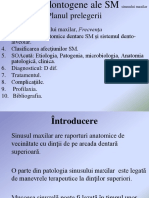SinusOdont-Ac (1).ppt