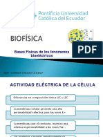 Bases Físicas de Los Fenómenos Bioeléctricos18