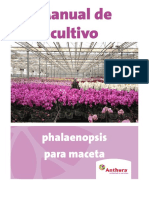 Teelthandleiding Phalaenopsis SP