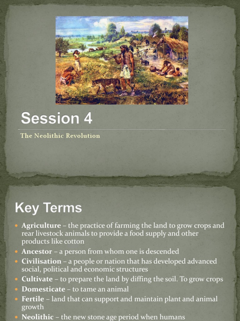 The Neolithic Revolution | PDF