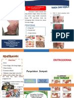 Leaflet Eritroderma