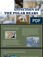 The Extinction of The Polar Bears