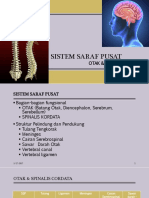 Materi Sistem Saraf Pusat.pdf