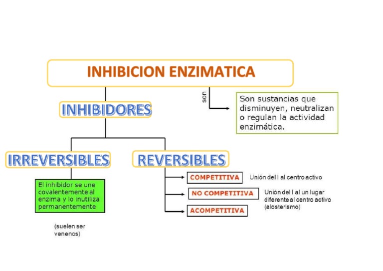 Inhibidores Enzimaticos | PDF