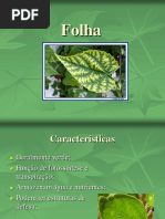 Folha.ppt