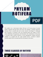 Phylum Rotifera Presentation