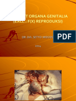 1,2. Organa Genitalia Disease
