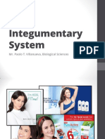 Integumentary System PDF