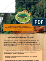 Cadena de Custodia Forestal FSC