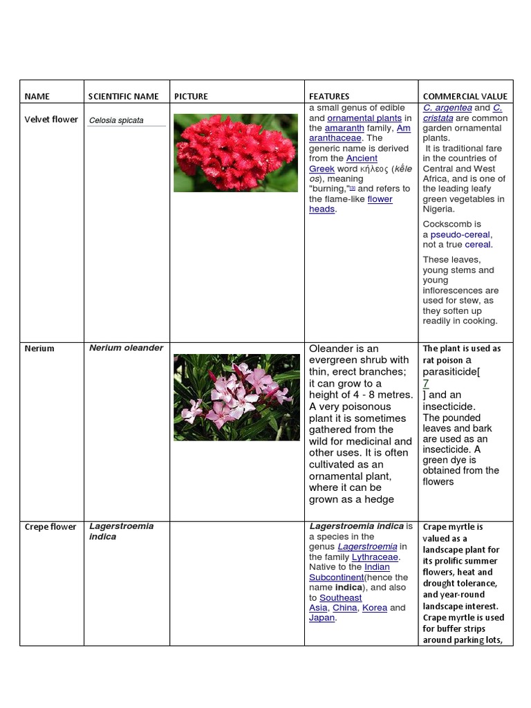 Ornamental Plants: Names and Features | PDF | Edible Plants | Garden Plants