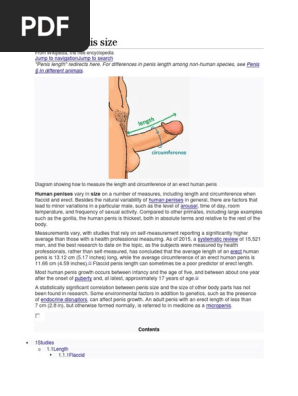 Human Penis Size