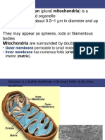 Mitochondria: Structure and Functions in 40 Characters