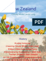 New Zealand: Cloudy White Lands Long