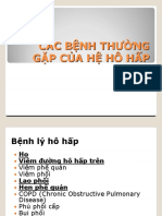 Cac Benh Thuong Gap Ve Benh Ho Hap