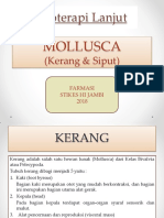 Fitoterapi Lanjut Mollusca Kerang Keong